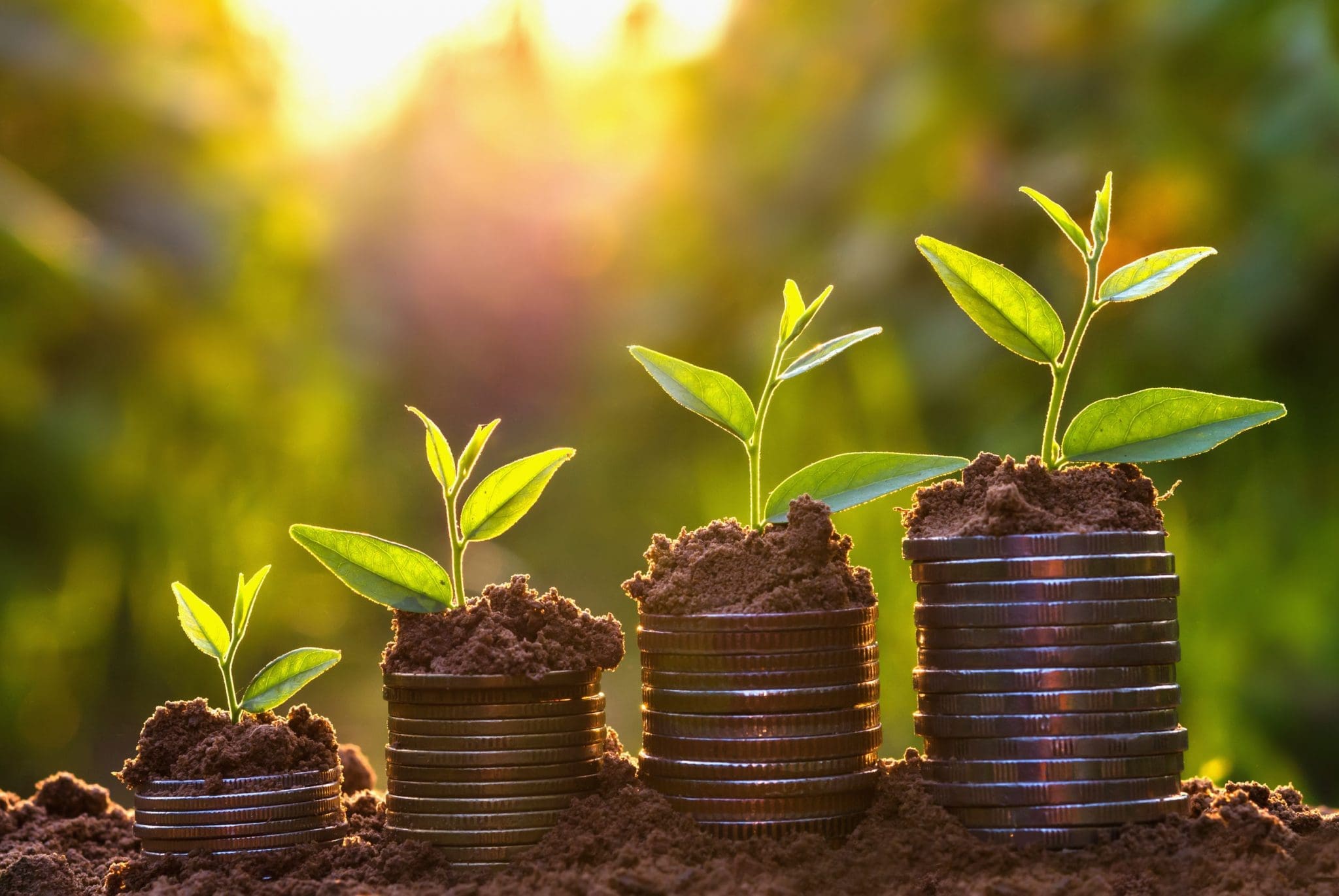 ESG Fund Investments Double, Comprised One Fourth Of 2020 Inflows ESG