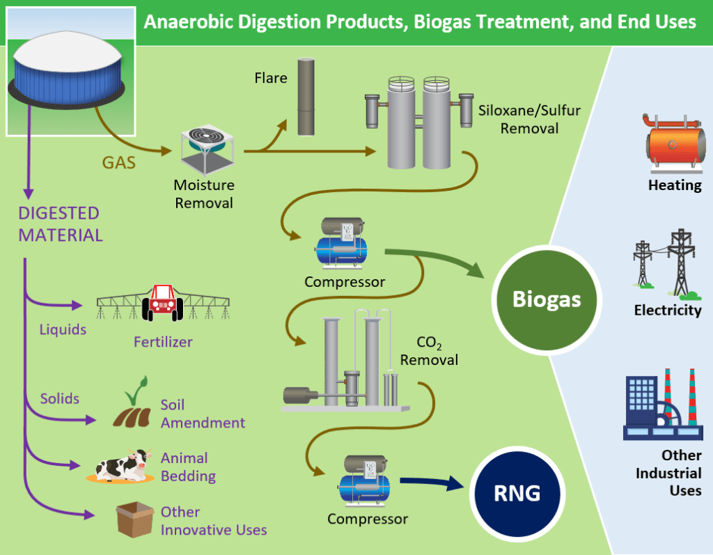 Cow Power: How Dairy Farms Are Fueling Exponential Growth In The RNG ...